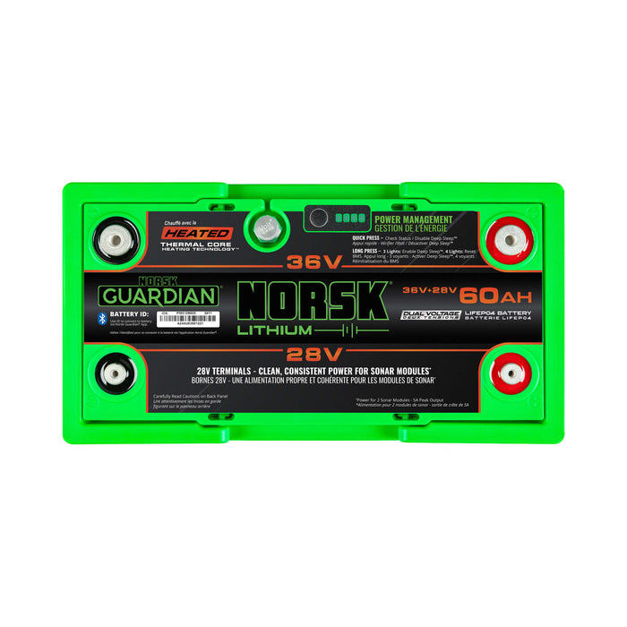 36V + 28V 60AH DUAL VOLTAGE HEATED LiFePO4 Lithium Battery